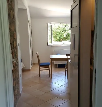 Studio Apartment Bosko Novalja Exterior photo